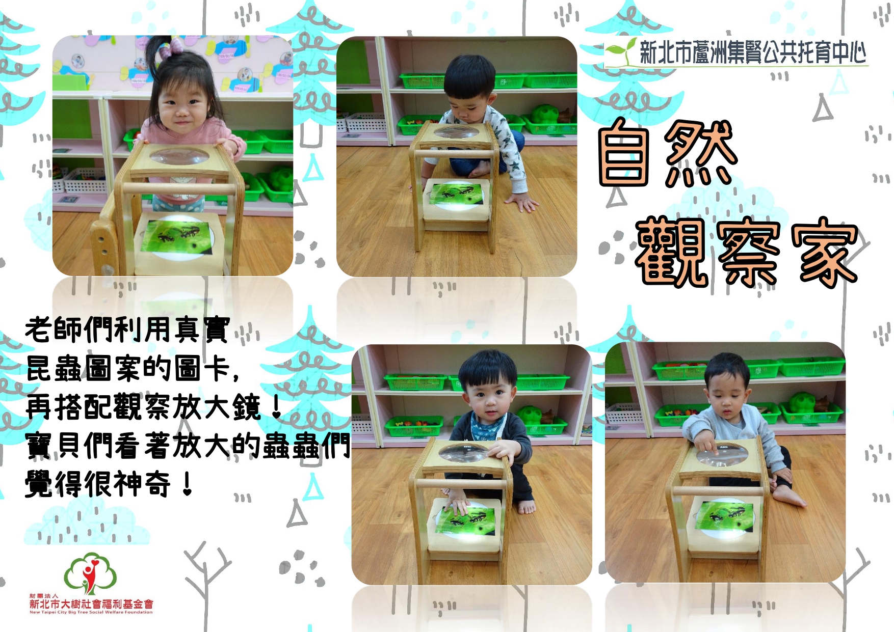 自然觀察家