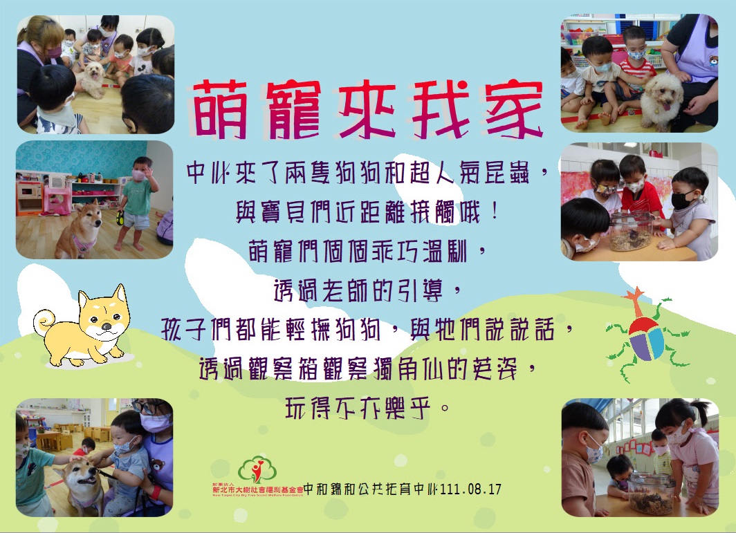 萌寵來我家